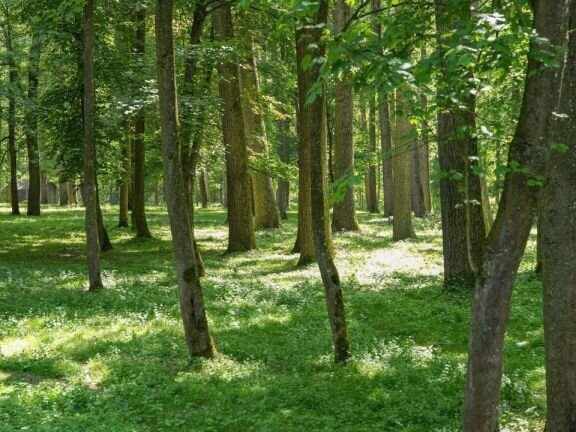 Hindenburgpark Ingolstadt