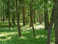 Hindenburgpark Ingolstadt